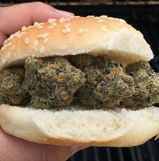 Weed burgers recipes