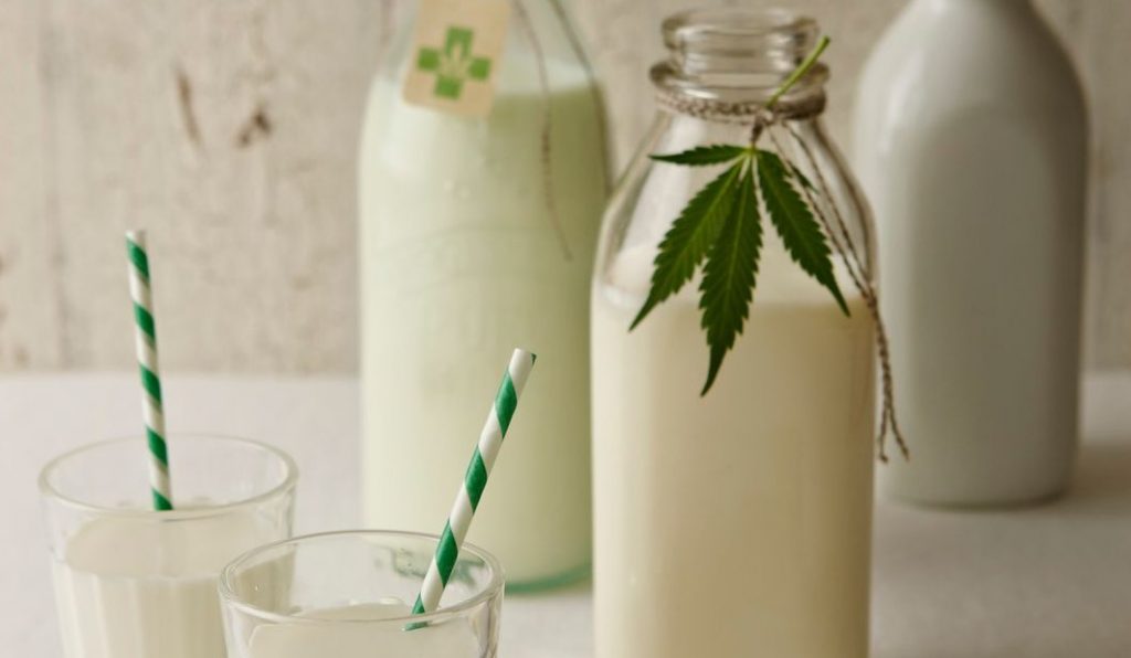 How to make weed milk