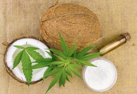 Marijuana infused coconut oil