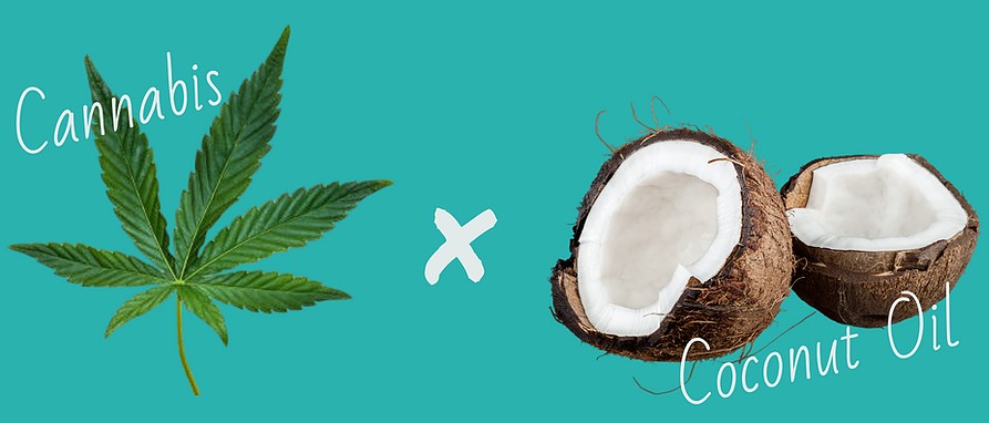 Marijuana infused coconut oil