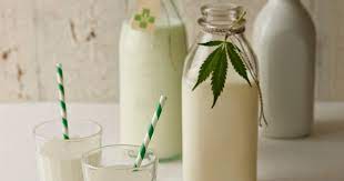 cannabis in milk