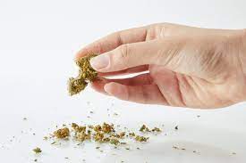 cannabis shake bags