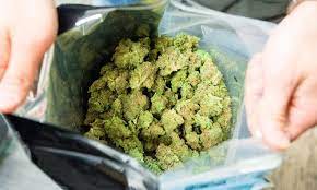 cannabis shake bags